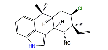 Hapalindole L